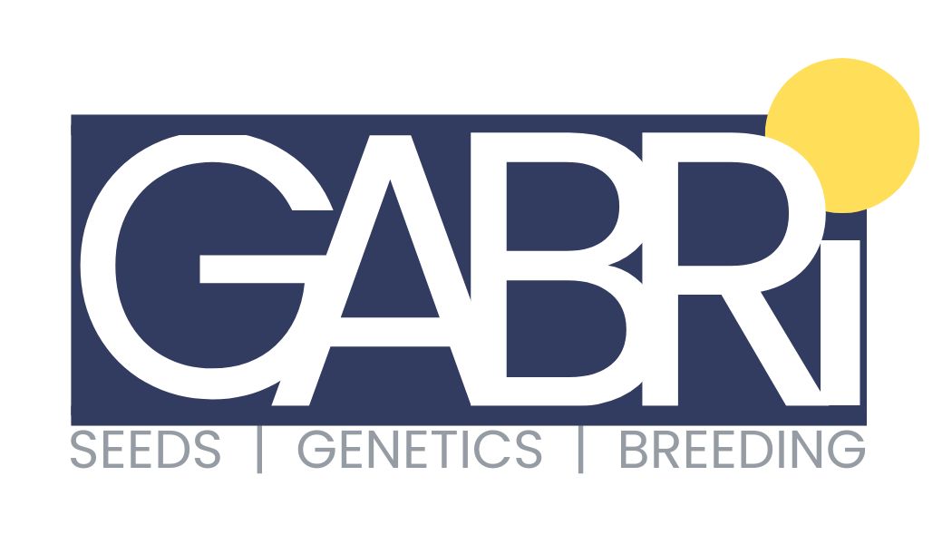 Gabri Seeds